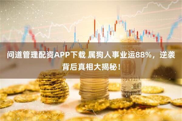 问道管理配资APP下载 属狗人事业运88%，逆袭背后真相大揭秘！